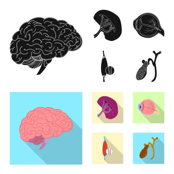 Objeto aislado de cuerpo y logotipo humano. Conjunto de ilustración de vectores de cuerpo y stock médico . — Vector de stock