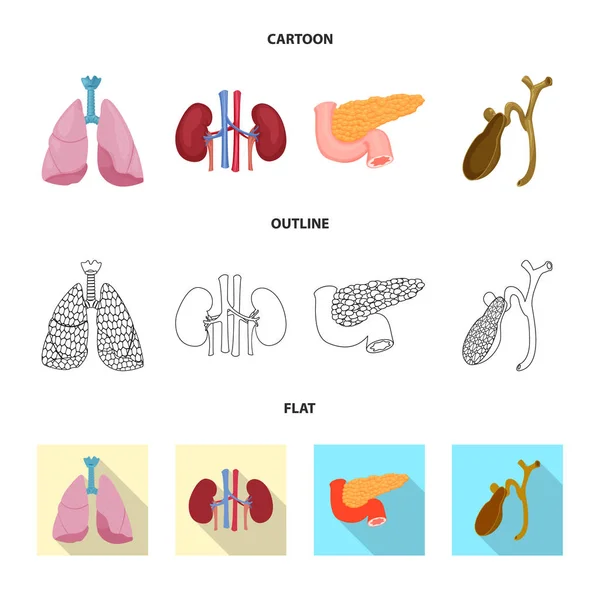 Векторная иллюстрация тела и человеческой иконы. Комплект корпусов и медицинских векторных значков для склада . — стоковый вектор