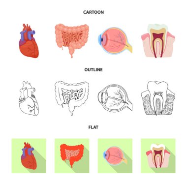 Vücut ve insan simge vektör Illustration. Vücut ve web için tıbbi hisse senedi simgesi toplama.
