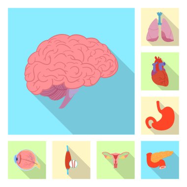 Vücut ve insan simge vektör tasarımı. Vücut ve hisse senedi için tıbbi vektör ikon koleksiyonu.