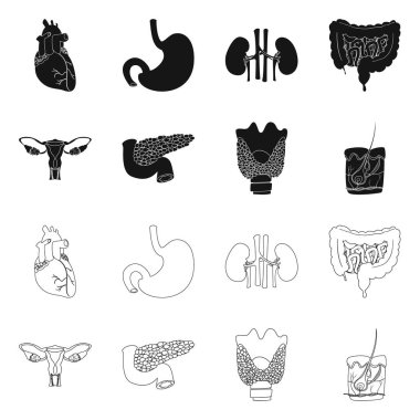 Vücut ve insan izole nesne. Vücut ve tıbbi hisse senedi vektör çizim.