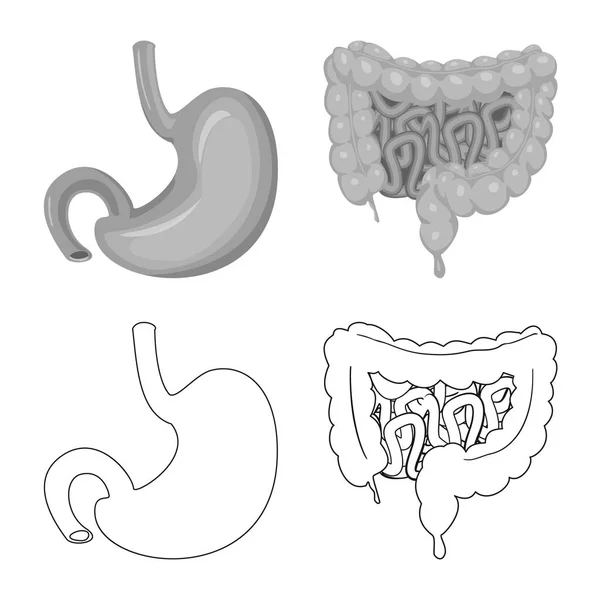 Illustration vectorielle du corps et du symbole humain. Collecte de corps et de matériel médical symbole pour le web . — Image vectorielle