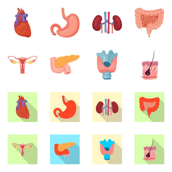 Vektorillustration des Körpers und des menschlichen Logos. Set von Körper- und medizinischen Stammvektorillustrationen. — Stockvektor