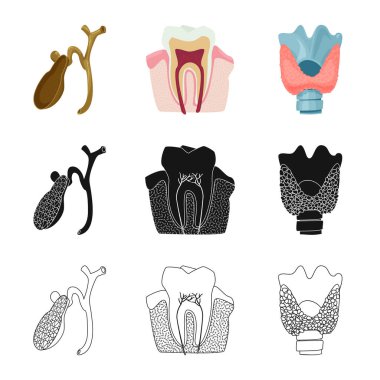 Vücut ve insan simge vektör tasarımı. Vücut ve hisse senedi için tıbbi vektör ikon koleksiyonu.