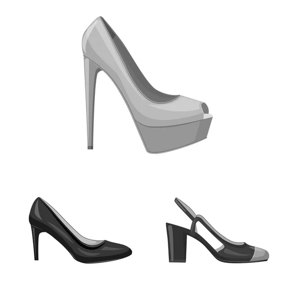 ベクター デザインの靴と女性のシンボル。在庫の靴と足のベクター アイコンのコレクション. — ストックベクタ
