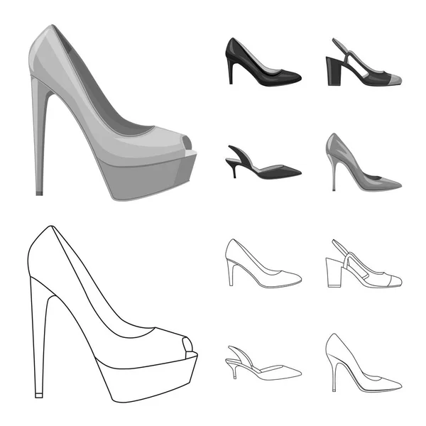 Design vettoriale di calzature e icona donna. Raccolta di calzature e icona vettoriale del piede per stock . — Vettoriale Stock
