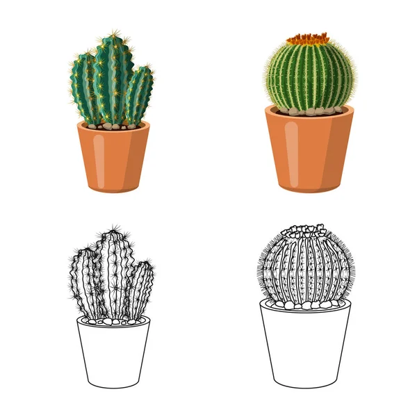 Векторный дизайн кактуса и символа горшка. Коллекция кактусов и кактусов для веб-сайтов . — стоковый вектор