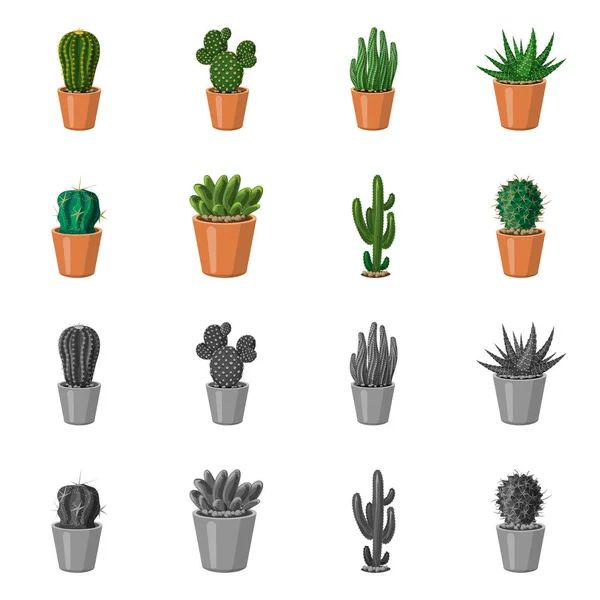 Illustrazione Vettoriale Del Cactus Del Logo Del Vaso Set Cactus — Vettoriale Stock