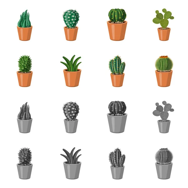 Oggetto isolato di cactus e segno di pentola. Set di icone vettoriali cactus e cactus per stock . — Vettoriale Stock