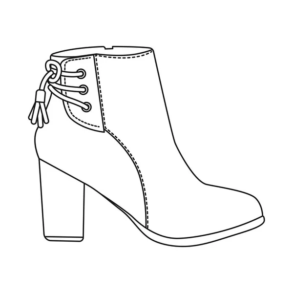 Projeto vetorial de calçado e símbolo de mulher. Coleção de calçado e ícone de vetor de pé para estoque . — Vetor de Stock