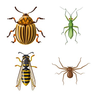 Böcek ve sinek logo vektör tasarımı. Böcek ve öğe hisse senedi simgesi için web topluluğu.