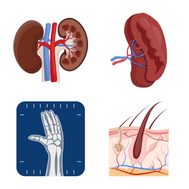 Vücut ve insan logo vektör çizimi. Vücut ve tıbbi hisse senedi vektör çizim.