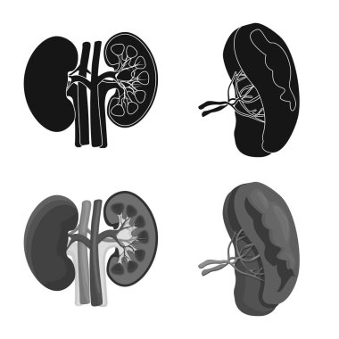 Vücut ve insan işareti yalıtılmış nesne. Vücut ve hisse senedi için tıbbi vektör simge kümesi.
