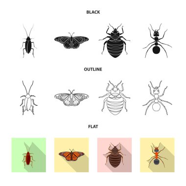 Böcek ve sinek sembolü yalıtılmış nesne. Web için böcek ve öğe hisse senedi simgesi kümesi.