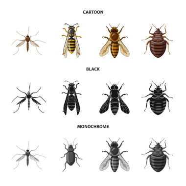 Böcek ve sinek sembolü yalıtılmış nesne. Web için böcek ve öğe hisse senedi simgesi kümesi.