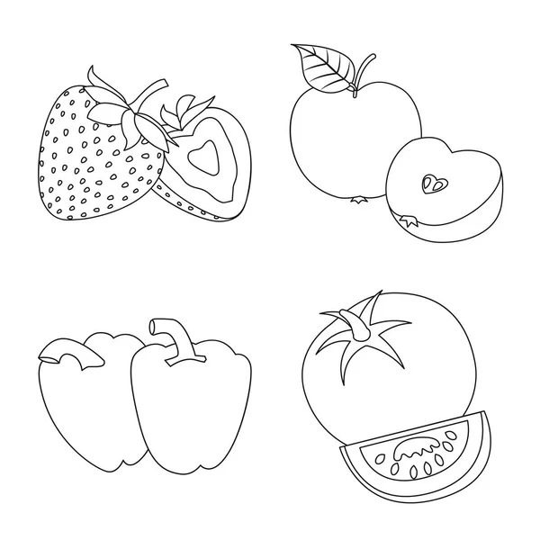 Ilustração vetorial do símbolo vegetal e frutífero. Conjunto de símbolo de estoque vegetal e vegetariano para web . — Vetor de Stock