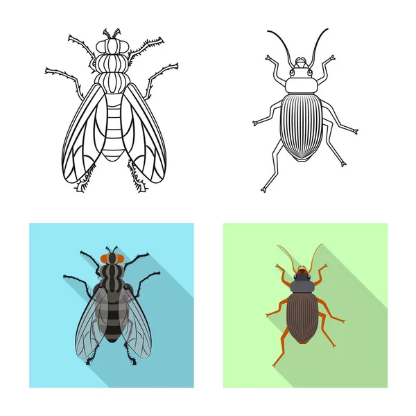 Illustration vectorielle du symbole insecte et mouche. Collection d'icônes vectorielles d'insectes et d'éléments pour le stock . — Image vectorielle