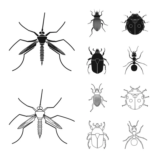 Ilustración vectorial del signo de insectos y moscas. Conjunto de icono de vector de insectos y elementos para stock . — Vector de stock