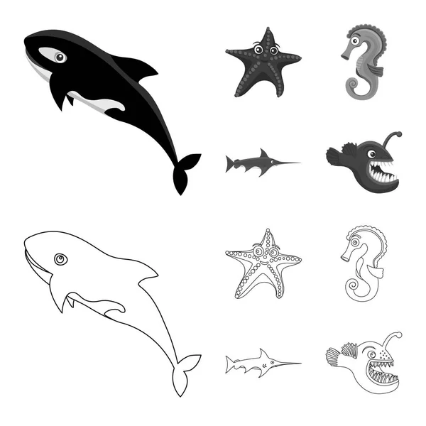 Vektorillustration des Meeres- und Tierlogos. Set von Meeres- und Meereslagersymbolen für Web. — Stockvektor