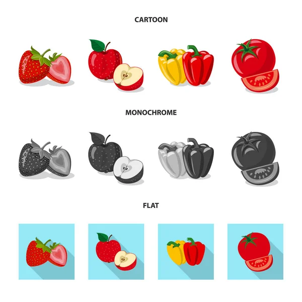 Ilustração vetorial do símbolo vegetal e frutífero. Conjunto de vegetais e vegetariano estoque vetor ilustração . — Vetor de Stock