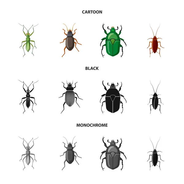 Objeto isolado de inseto e sinal de mosca. Coleta de inseto e elemento símbolo de estoque para web . —  Vetores de Stock