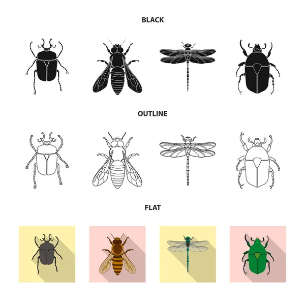 곤충과 비행 로그인의 고립 된 개체입니다. 웹에 대 한 곤충과 요소 주식 기호 모음. — 스톡 벡터