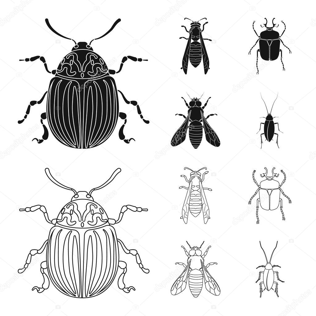 Vector illustration of insect and fly logo. Collection of insect and element vector icon for stock.