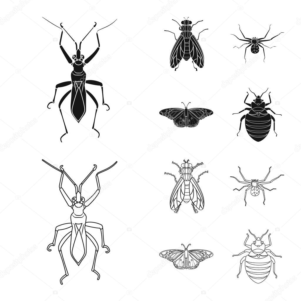 Vector design of insect and fly logo. Set of insect and element stock symbol for web.