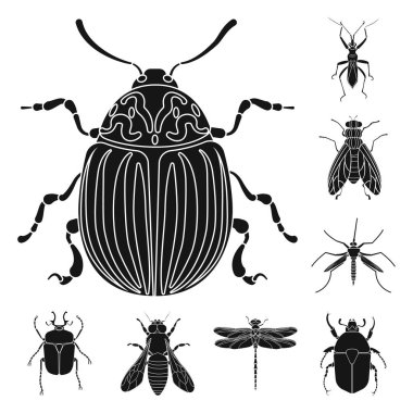 Böcek ve sinek simgesi yalıtılmış nesne. Böcek ve öğe hisse senedi vektör çizim topluluğu.