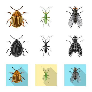 Böcek ve sinek işareti vektör Illustration. Web için böcek ve öğe hisse senedi simgesi kümesi.