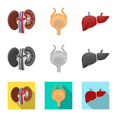 Vücut ve insan sembolü yalıtılmış nesne. Vücut ve web için tıbbi hisse senedi simgesi toplama.