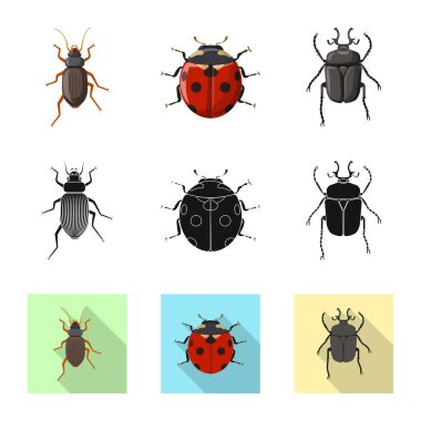 Böcek ve sinek işareti vektör tasarımı. Böcek ve öğe hisse senedi vektör çizim seti.