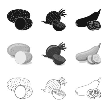 İzole işareti sebze ve meyve nesne. Sebze ve vejeteryan hisse senedi vektör çizim topluluğu.