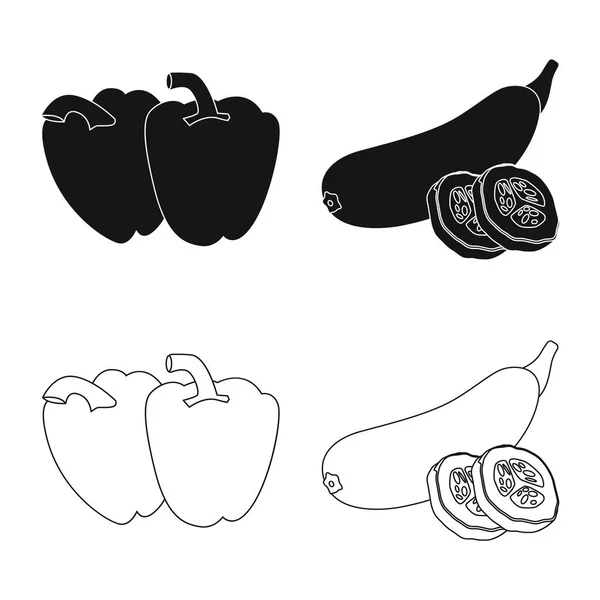 Векторная иллюстрация иконы овощей и фруктов. Коллекция вегетарианских вегетарианских икон для инвентаря . — стоковый вектор