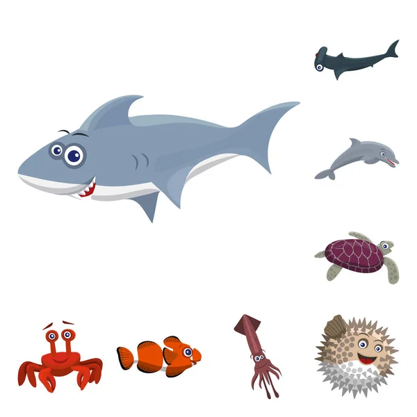 Isolated object of sea and animal symbol. Set of sea and marine stock vector illustration. — Stock Vector