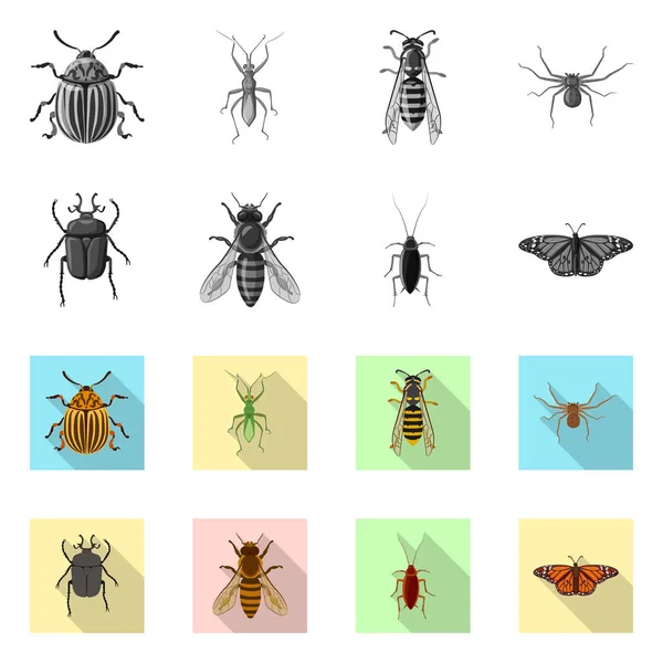Vektorillustration von Insekten- und Fliegenzeichen. Sammlung von Insekten- und Elementaktivvektordarstellungen. — Stockvektor