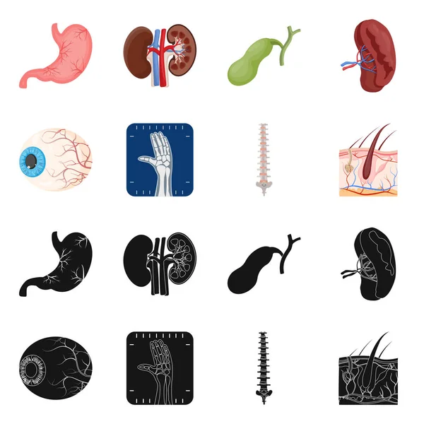 Oggetto isolato di corpo e logo umano. Raccolta di corpo e stock simbolo medico per il web . — Vettoriale Stock