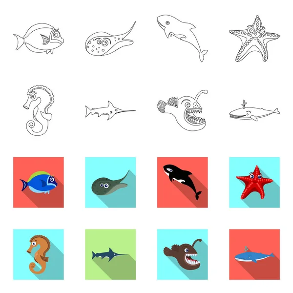 Objeto aislado de mar y símbolo animal. Colección de ilustración de vectores marinos y marinos . — Vector de stock