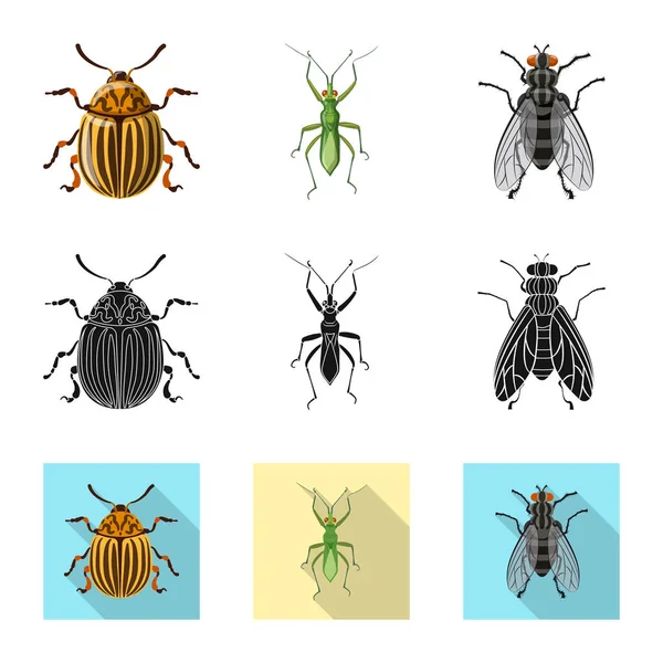 Vector Illustration Insect Fly Sign Set Insect Element Stock Symbol — Stock Vector