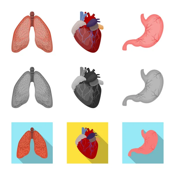 Diseño vectorial del cuerpo y el signo humano. Conjunto de ilustración de vectores de cuerpo y stock médico . — Archivo Imágenes Vectoriales