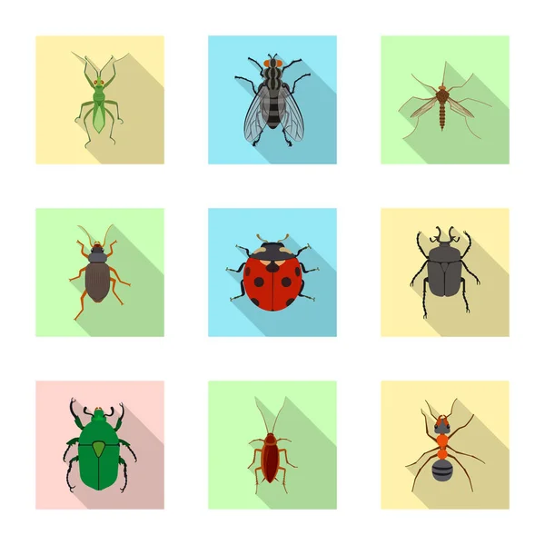 Ilustración vectorial del signo de insectos y moscas. Conjunto de icono de vector de insectos y elementos para stock . — Vector de stock