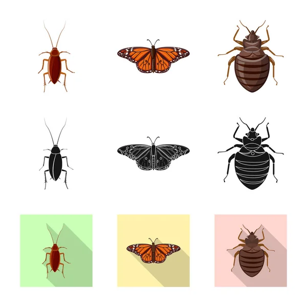 Vectorillustratie van insecten en vliegen teken. Set insect en element voorraad vectorillustratie. — Stockvector