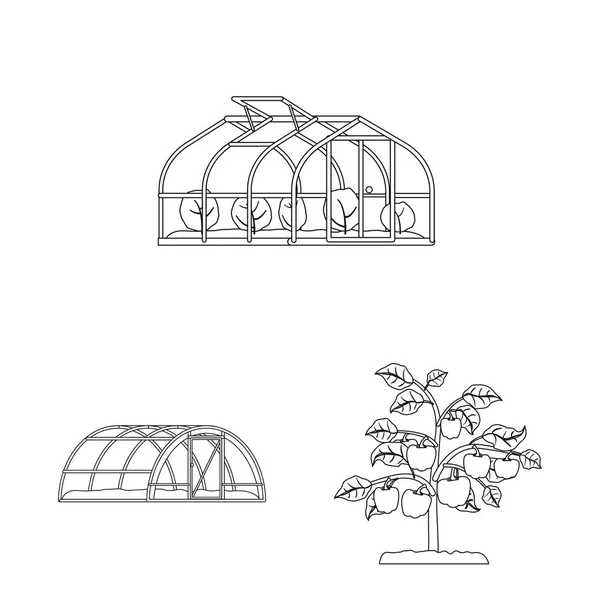 Vectorillustratie van broeikasgassen en plant logo. Collectie van serre en tuin aandelensymbool voor web. — Stockvector