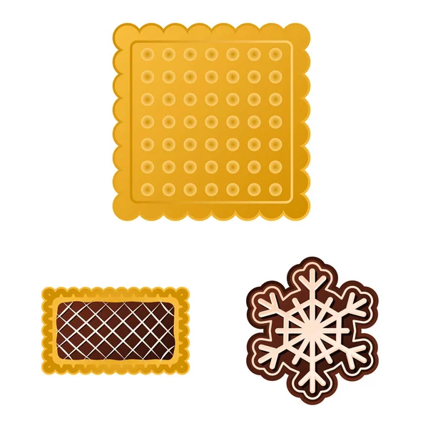 Vector illustration of biscuit and bake logo. Collection of biscuit and chocolate stock vector illustration. — Stock Vector