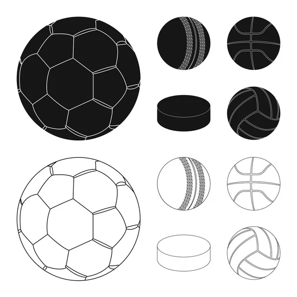 Ilustración vectorial del icono del deporte y la pelota. Colección de deporte e ilustración de vector de stock atlético . — Vector de stock