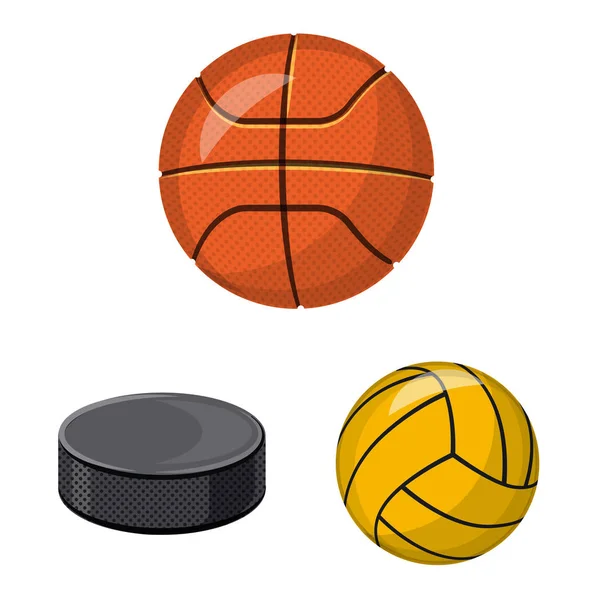 Vektorová design sport a míč symbolu. Sada sportovních a atletických vektorové ilustrace. — Stockový vektor