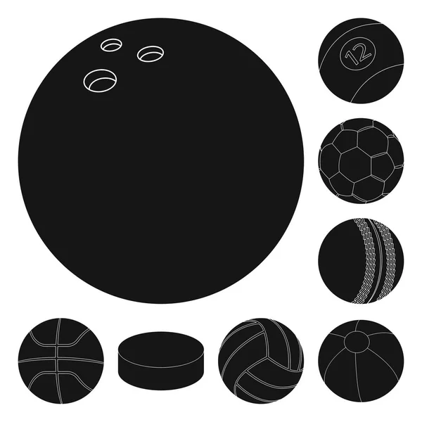 Isolerade objekt av sport och bollen ikonen. Uppsättning av sport och atletisk vektor ikon för lager. — Stock vektor