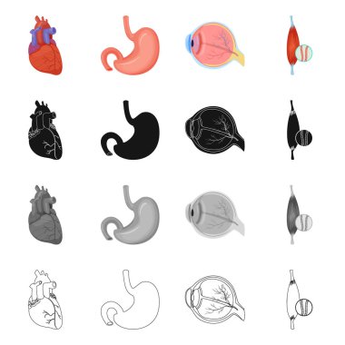 Vücut ve insan simge vektör tasarımı. Vücut ve web için tıbbi hisse senedi simgesi toplama.