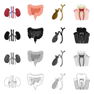 Vücut ve insan işareti vektör çizimi. Vücut ve hisse senedi için tıbbi vektör ikon koleksiyonu.