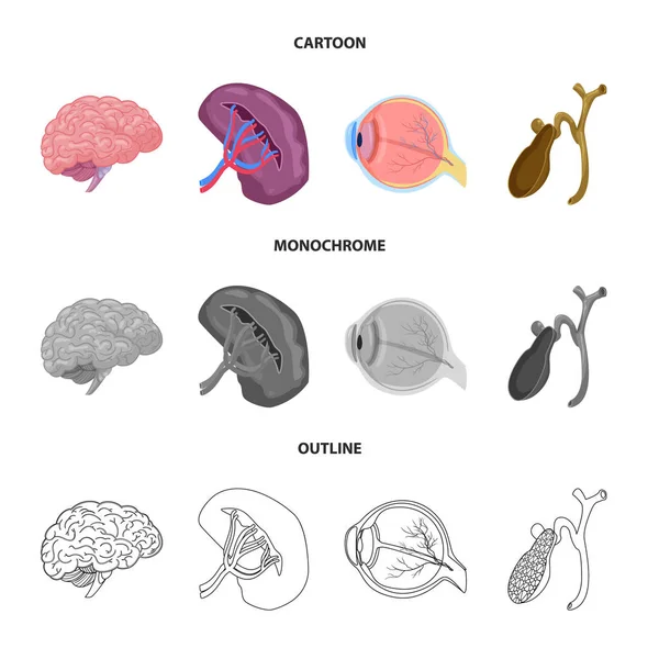 Vücut ve insan logo yalıtılmış nesne. Vücut ve web için tıbbi hisse senedi simgesi toplama.